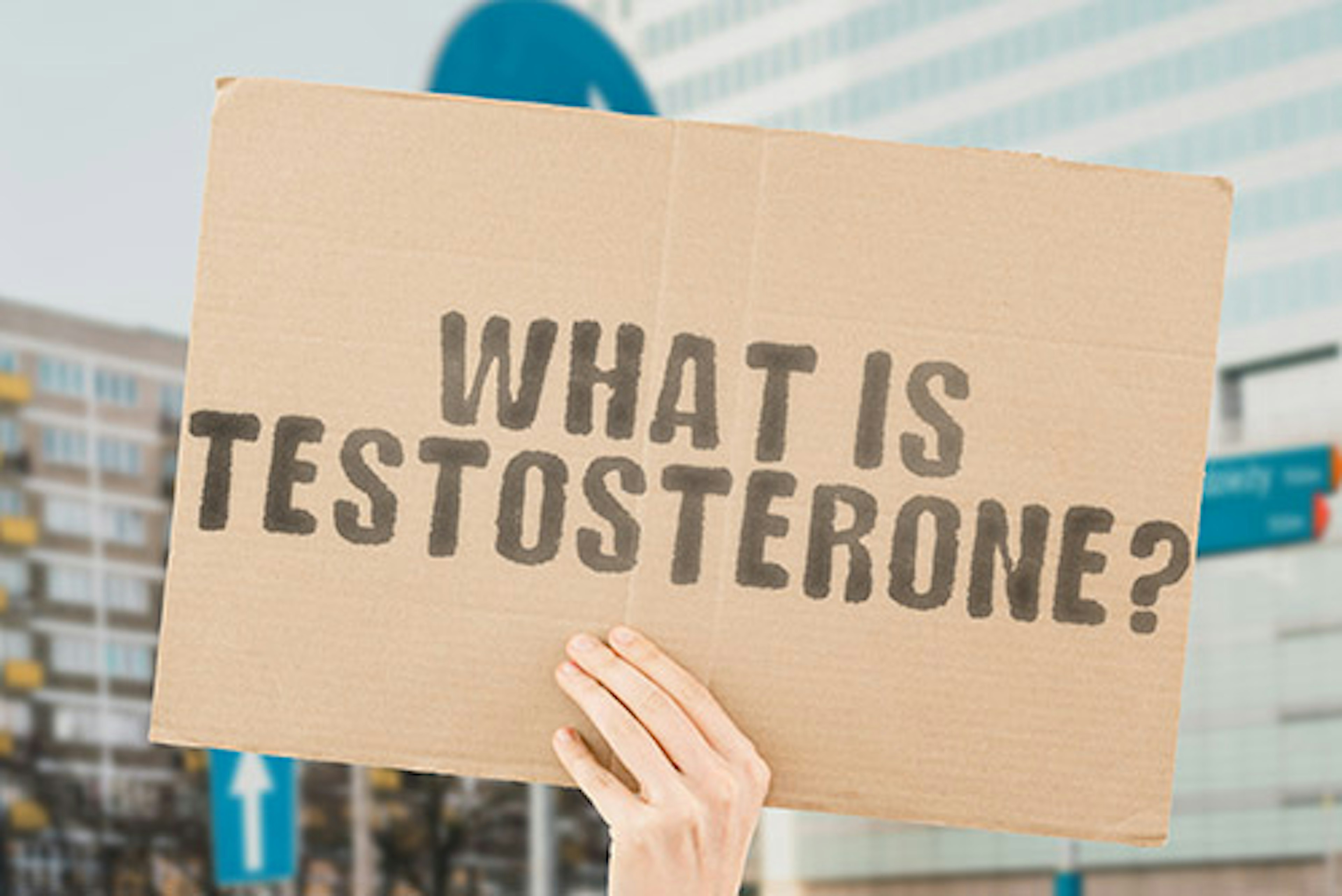 What is testosterone? Understanding your testosterone levels.